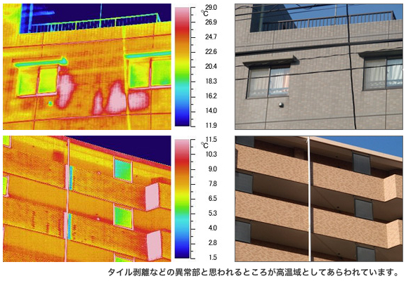 外壁調査