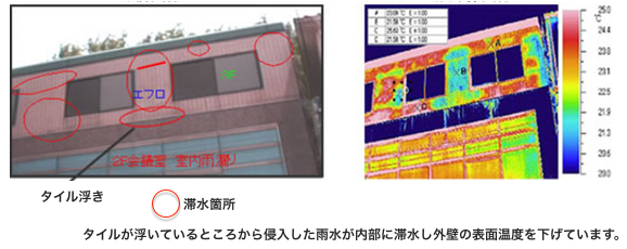 外壁調査